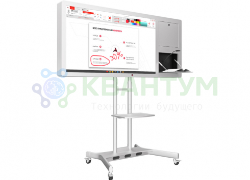 Интерактивная панель Horizon Scan c документ-камерой 55"